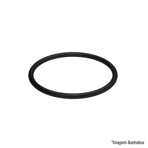 Anel de Borracha para Esgoto  200mm  8´ - Tigre