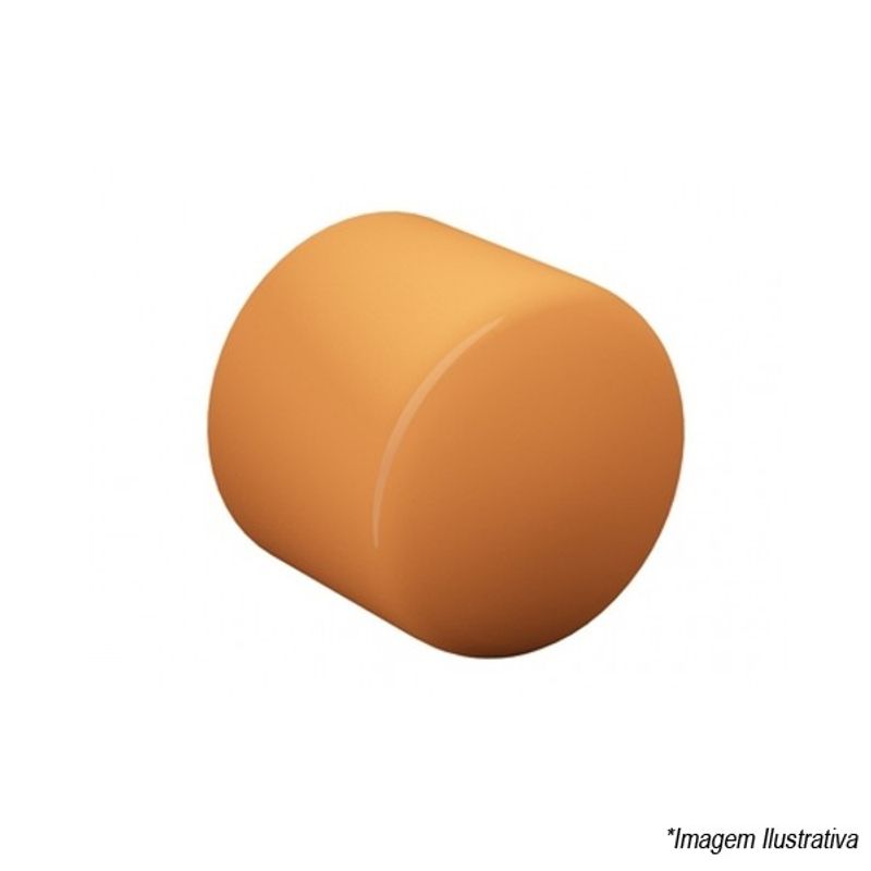 CAP TigreFire 2 1/2 SCH80 22890417 Tigre CAP TigreFire 2 1/2 SCH80 22890417 Tigre