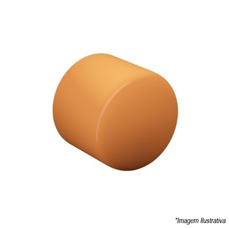 CAP TigreFire 1 1/2 SCH80 22890387 Tigre CAP TigreFire 1 1/2 SCH80 22890387 Tigre