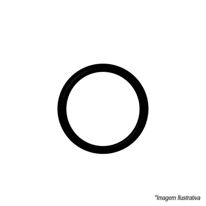Anel Oring para Acionador Externo Hydra Repacar Anel Oring para Acionador Externo Hydra Repacar
