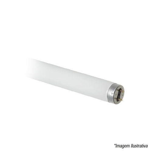 Lâmpada Flourescente Tubular 20w