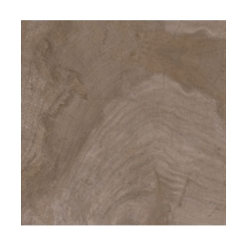 Porcelanato retificado 70x70cm Jequitiba Evidence polido Delta