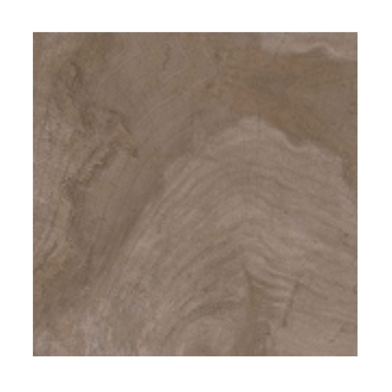 Porcelanato retificado 70x70cm Jequitiba Evidence polido Delta Porcelanato retificado 70x70cm Jequitiba Evidence polido Delta