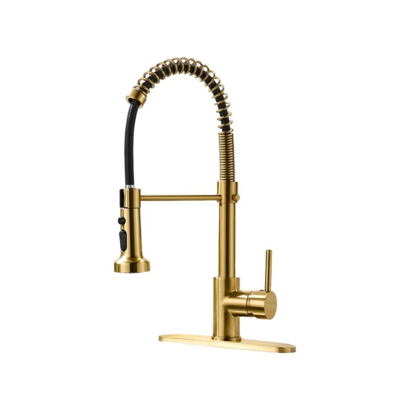 torneira-monocomando-cozinha-gourmet-classi-mola-2-Funcoes-dourada-bognar-1.0 torneira-monocomando-cozinha-gourmet-classi-mola-2-Funcoes-dourada-bognar-1.0