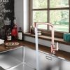 torneira-plastica-de-mesa-para-cozinha-bica-alta-movel-flatt-rose-gold-1167-f71-lorenzetti-1.1.jpg