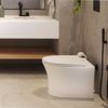 kit-vaso-sanitario-convencional-deca-vertis-total-clean-assento-e-acessorios-de-instalacao-branco-1.3