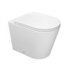 kit-vaso-sanitario-convencional-deca-lk-total-clean-assento-e-acessorios-de-instalacao-branco-1.0