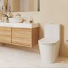 kit-vaso-sanitario-com-caixa-acoplada-deca-lk-total-clean-assento-e-acessorios-de-instalacao-branco-1.3